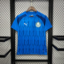CAMISOLA DO PALMEIRAS 24/25 AZUL